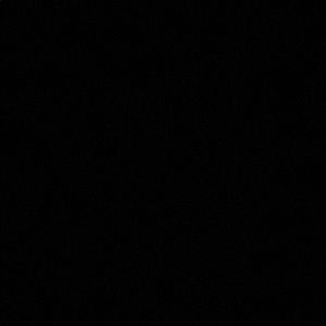 Meet your Posher, Annika